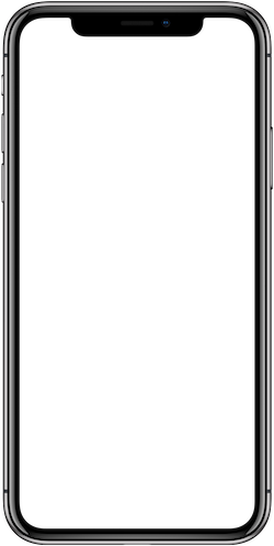 phone displaying app